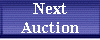 Next Auction